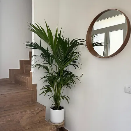 Apartment Casa Yeye Loft *