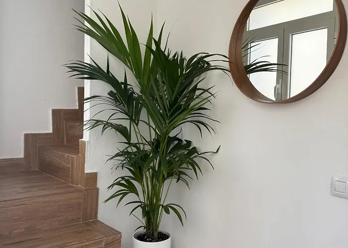 Apartamento Casa Yeye Loft *